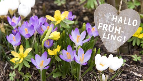 Fit für den Frühling