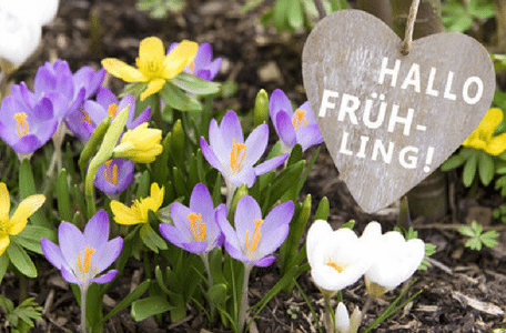 Fit Für Den Frühling